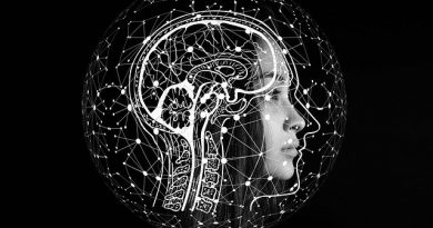 zeka katsayısı hesaplama